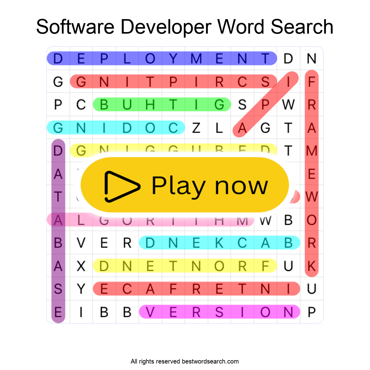Software Developer | Careers Word Search